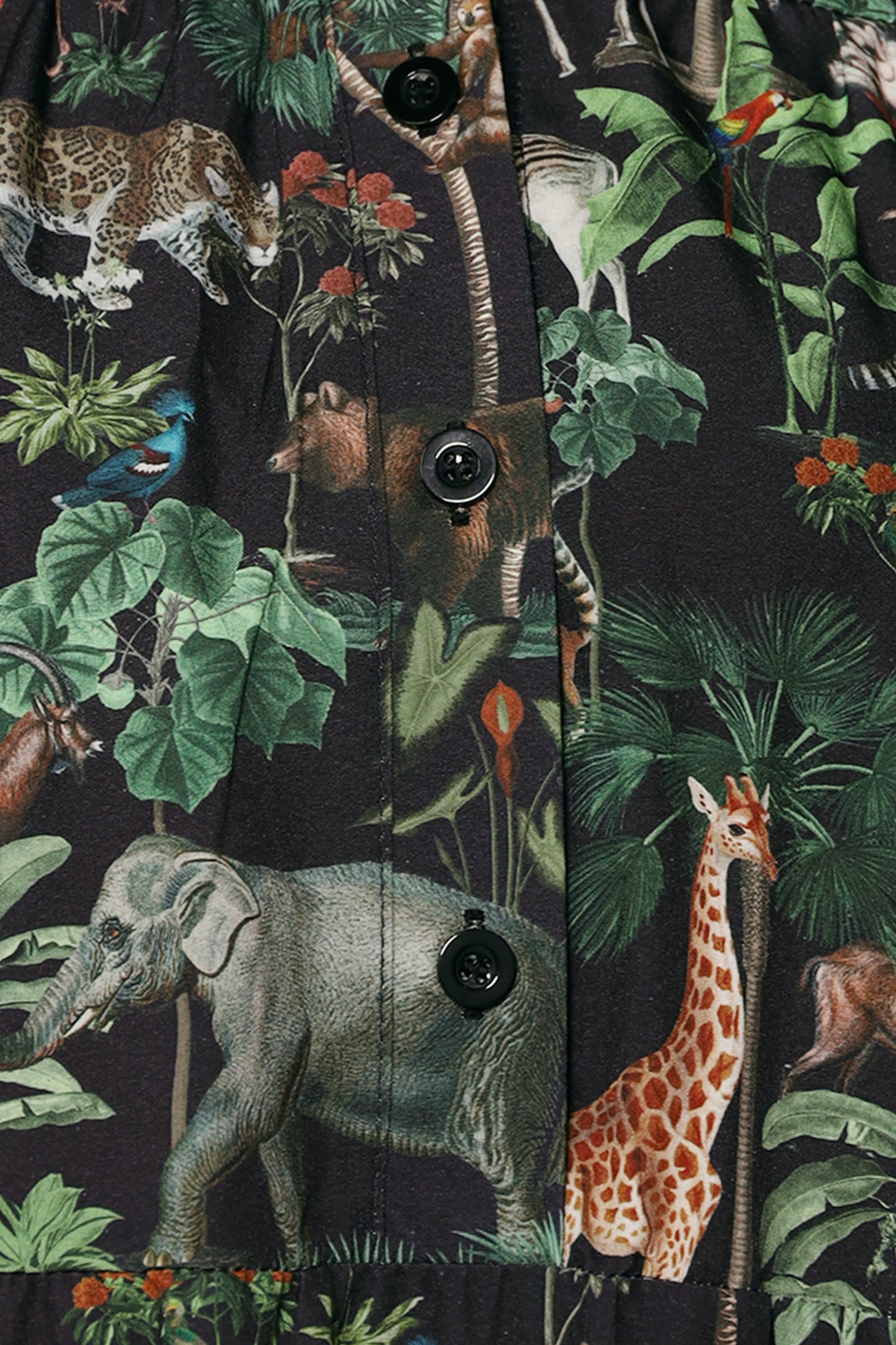 Fifi Dress in Madagascar